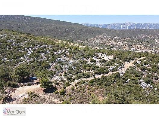 Morçiçek'ten Mordoğan'da Deniz Manzaralı 3427 M2 Tarla... — fotoğraf 21