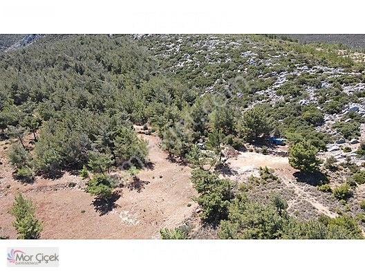 Morçiçek'ten Mordoğan'da Deniz Manzaralı 3427 M2 Tarla... — fotoğraf 23