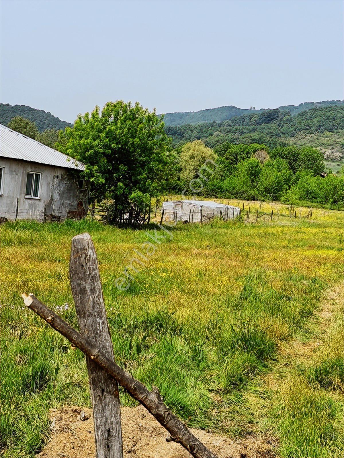 Aslım Emlak'Tan Çilimli Vakıf Ta 4005 M2 Arazi