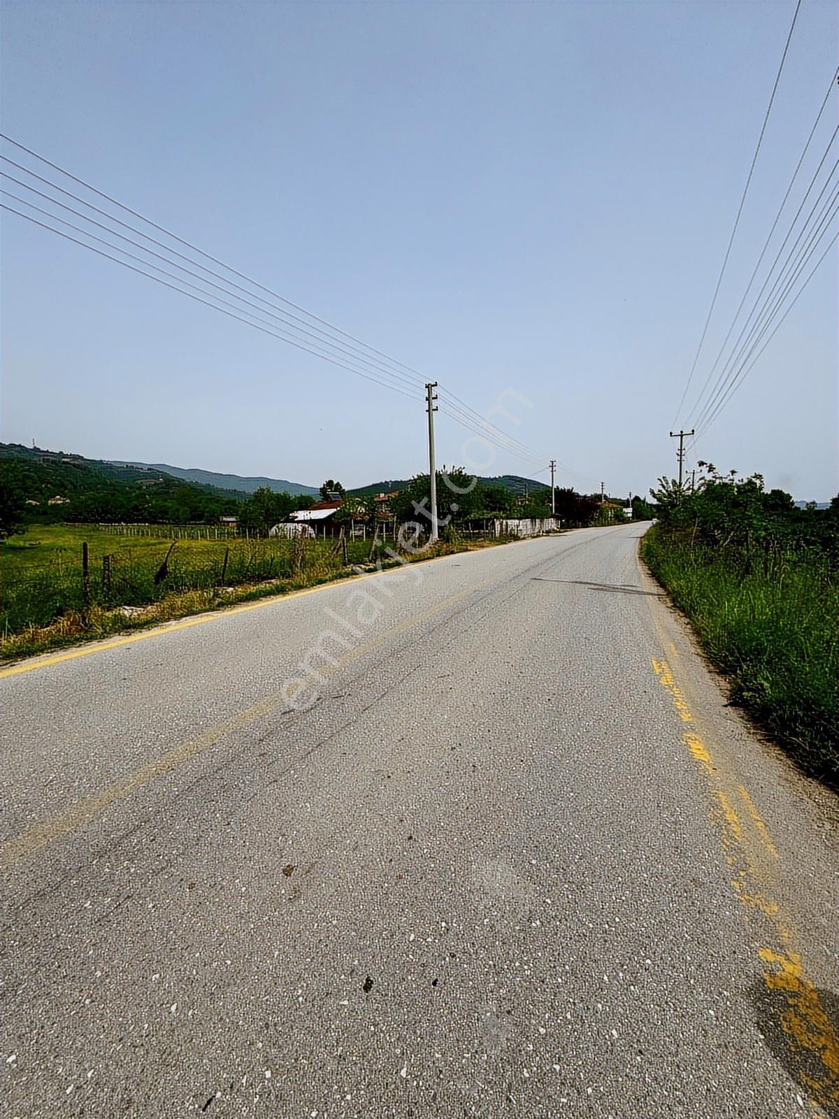 Aslım Emlak'tan Çilimli Vakıf Ta 4005 M2 Arazi — fotoğraf 3
