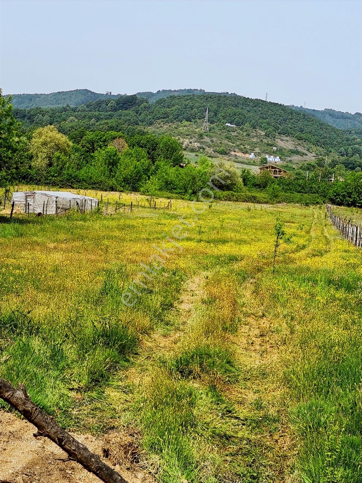 Aslım Emlak'tan Çilimli Vakıf Ta 4005 M2 Arazi — fotoğraf 5