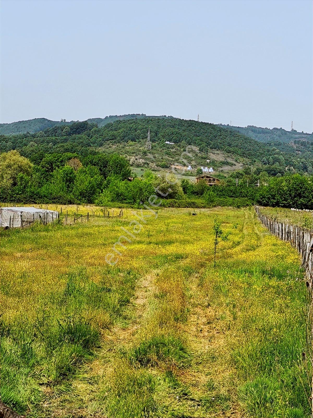 Aslım Emlak'tan Çilimli Vakıf Ta 4005 M2 Arazi — fotoğraf 7