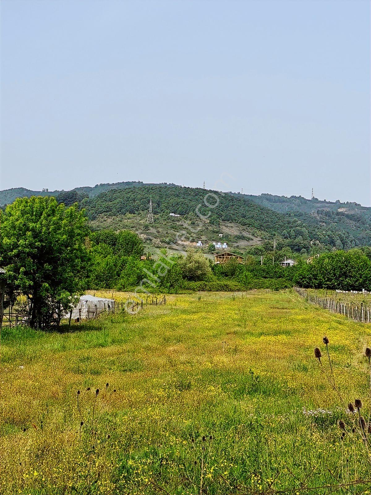 Aslım Emlak'tan Çilimli Vakıf Ta 4005 M2 Arazi — fotoğraf 10