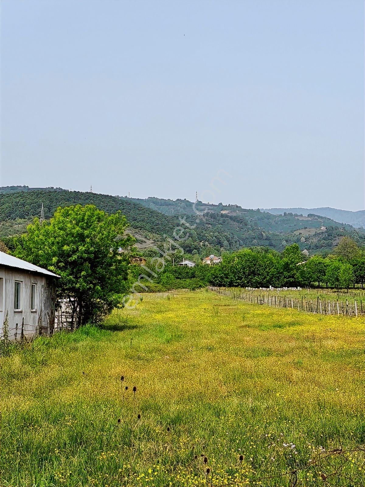 Aslım Emlak'tan Çilimli Vakıf Ta 4005 M2 Arazi — fotoğraf 12