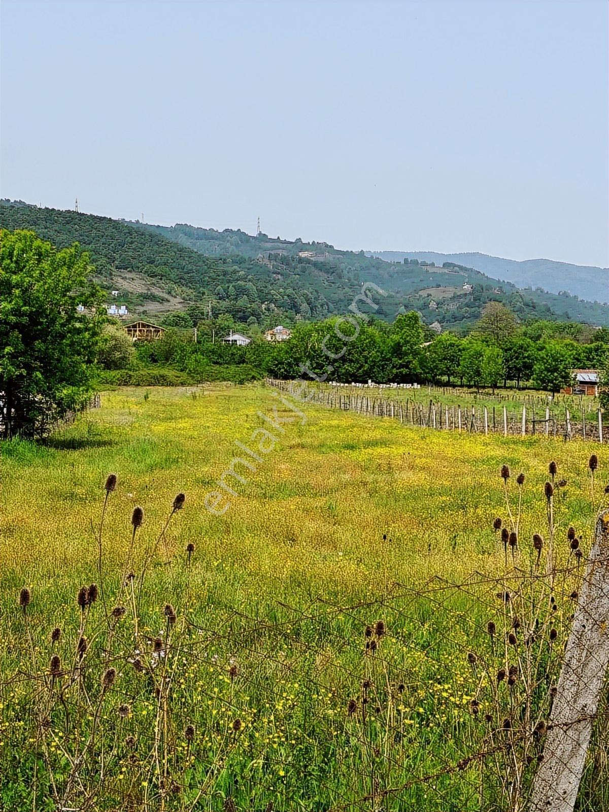 Aslım Emlak'tan Çilimli Vakıf Ta 4005 M2 Arazi — fotoğraf 13