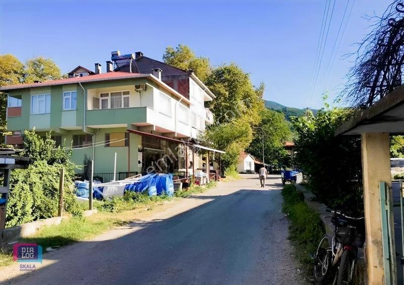 Bursa Gemlik Feyziyede Doğayla İç İçe | Yatırımlık Fırsat Tarla — fotoğraf 2