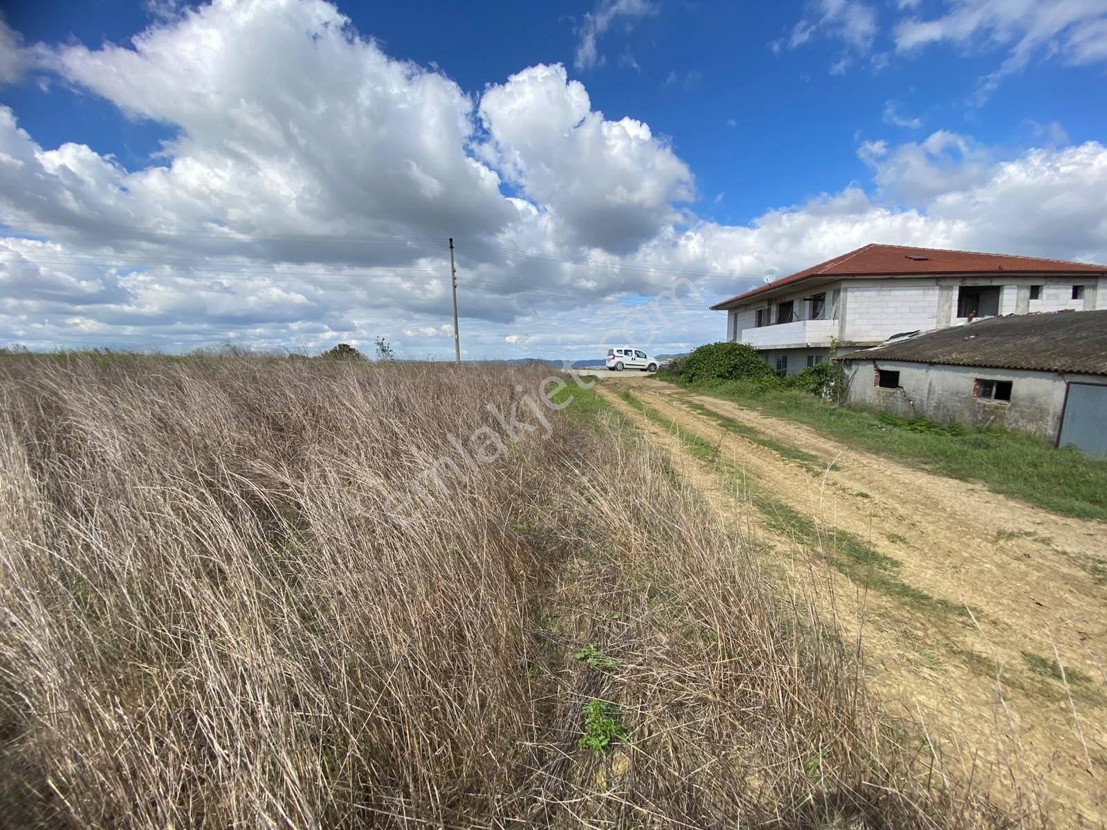 Kanatlar Köyünde Asfalt Cepheli 774 M2 Satılık Harika Tarla — fotoğraf 6