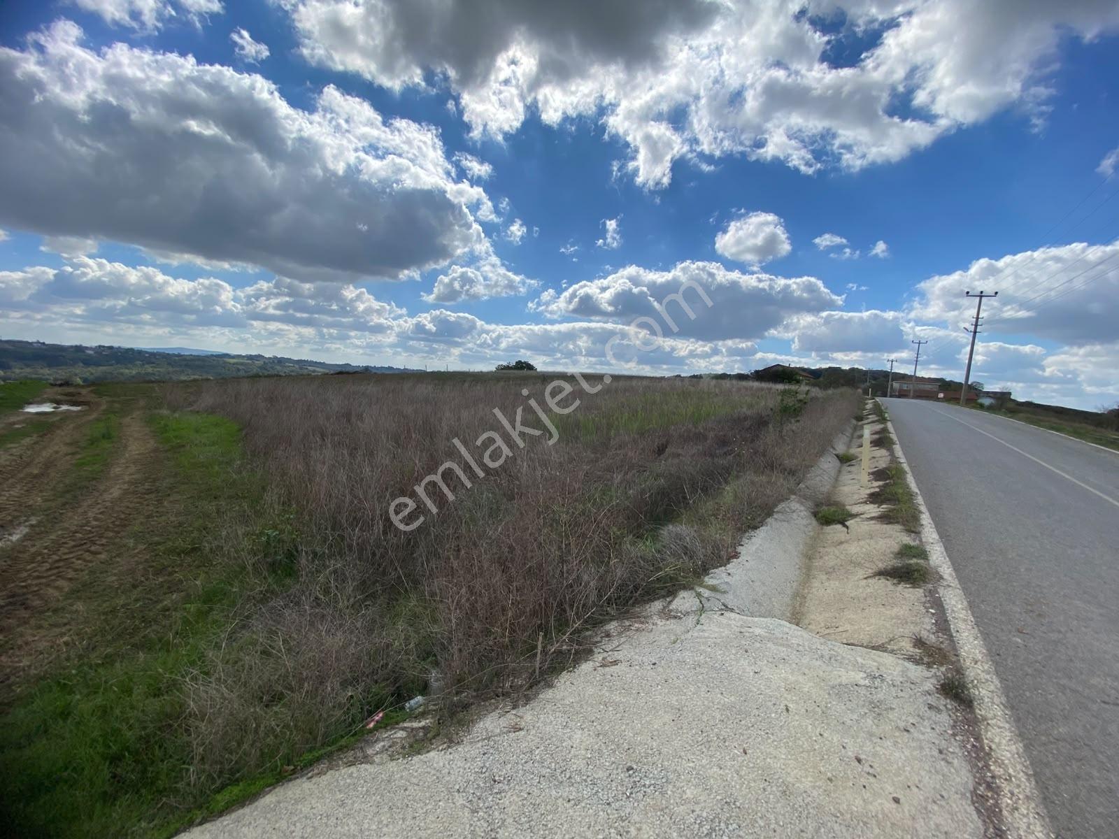 Kanatlar Köyünde Asfalt Cepheli 774 M2 Satılık Harika Tarla — fotoğraf 8