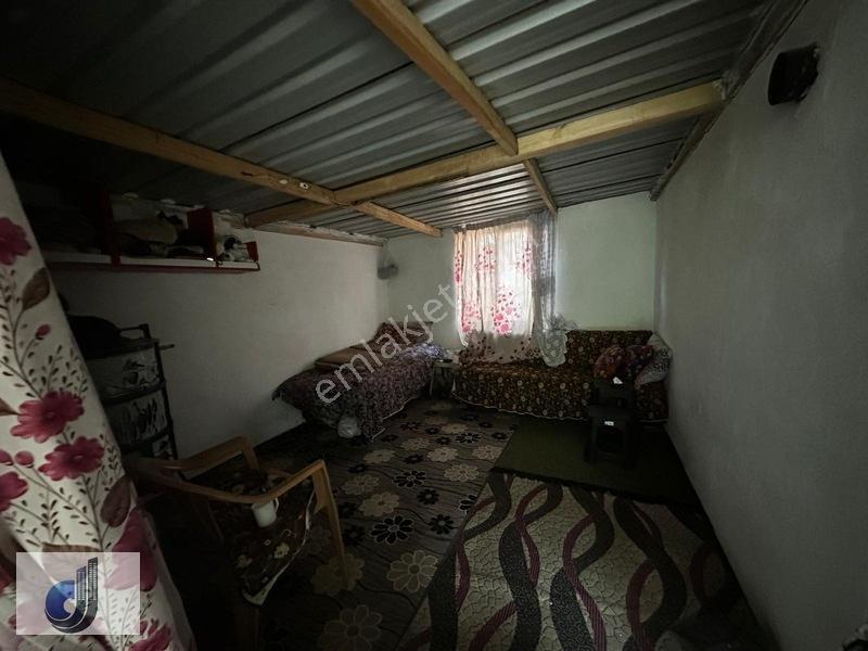 Darkale Köyünde Satılık Zeytinlik — fotoğraf 6