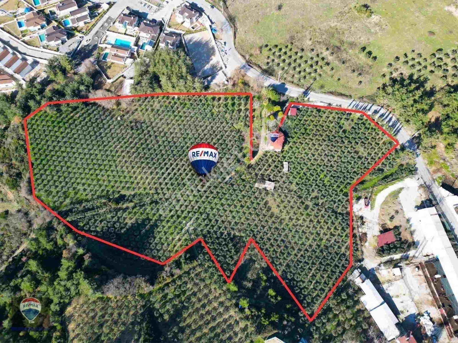 Kuşadası Yaylaköy De 40 Dönüm Satılık Arazı Deniz Manzaralı Dubleks 4+1 İki Pars...