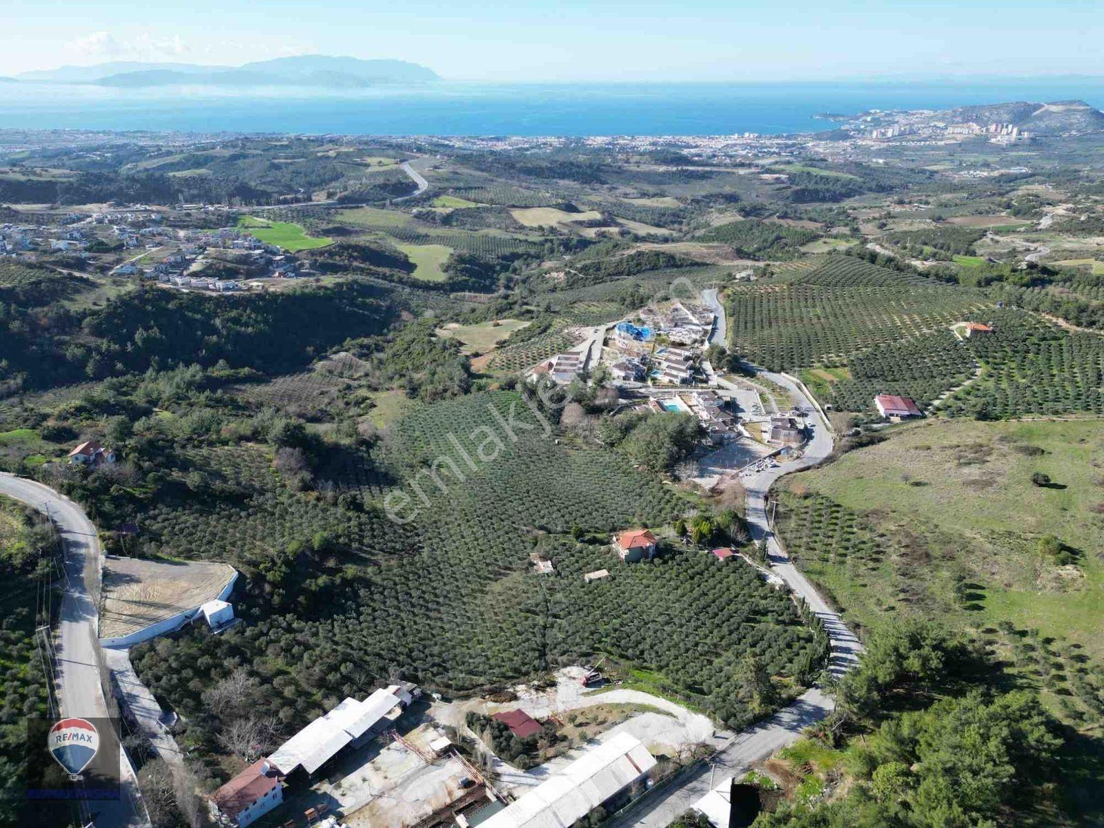 Kuşadası Yaylaköy De 40 Dönüm Satılık Arazı Deniz Manzaralı Dubleks 4+1 İki Parsel Tek Tapu — fotoğraf 5