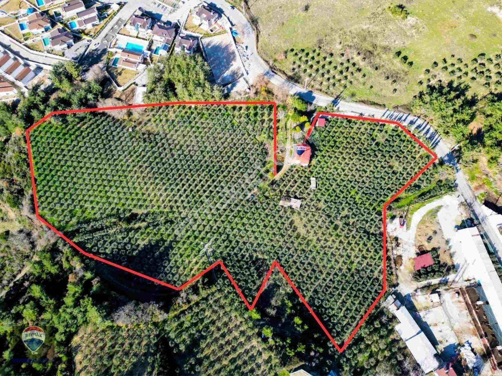 Kuşadası Yaylaköy De 40 Dönüm Satılık Arazı Deniz Manzaralı Dubleks 4+1 İki Parsel Tek Tapu — fotoğraf 8