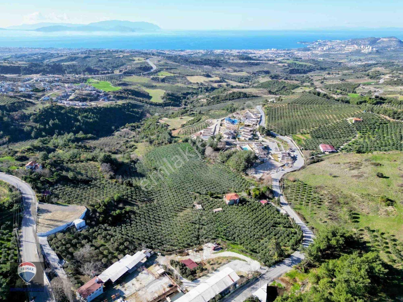 Kuşadası Yaylaköy De 40 Dönüm Satılık Arazı Deniz Manzaralı Dubleks 4+1 İki Parsel Tek Tapu — fotoğraf 10