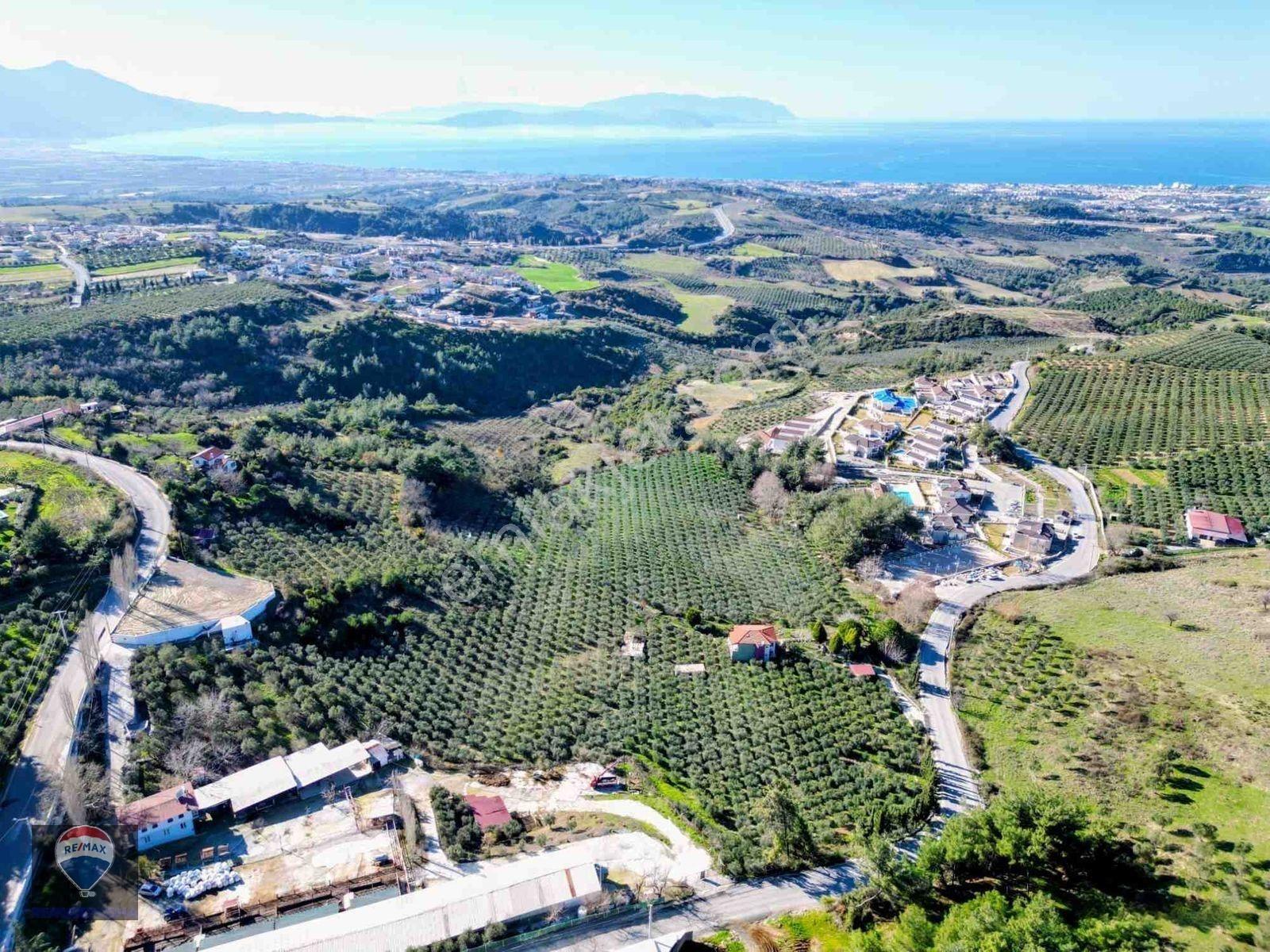Kuşadası Yaylaköy De 40 Dönüm Satılık Arazı Deniz Manzaralı Dubleks 4+1 İki Parsel Tek Tapu — fotoğraf 11