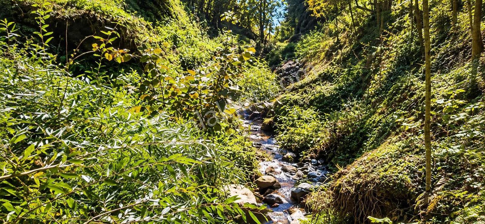 Mg'den Akyazı Madenlerde Tamamı İmarlı 7.878 M² Manzaralı Arazi — fotoğraf 7