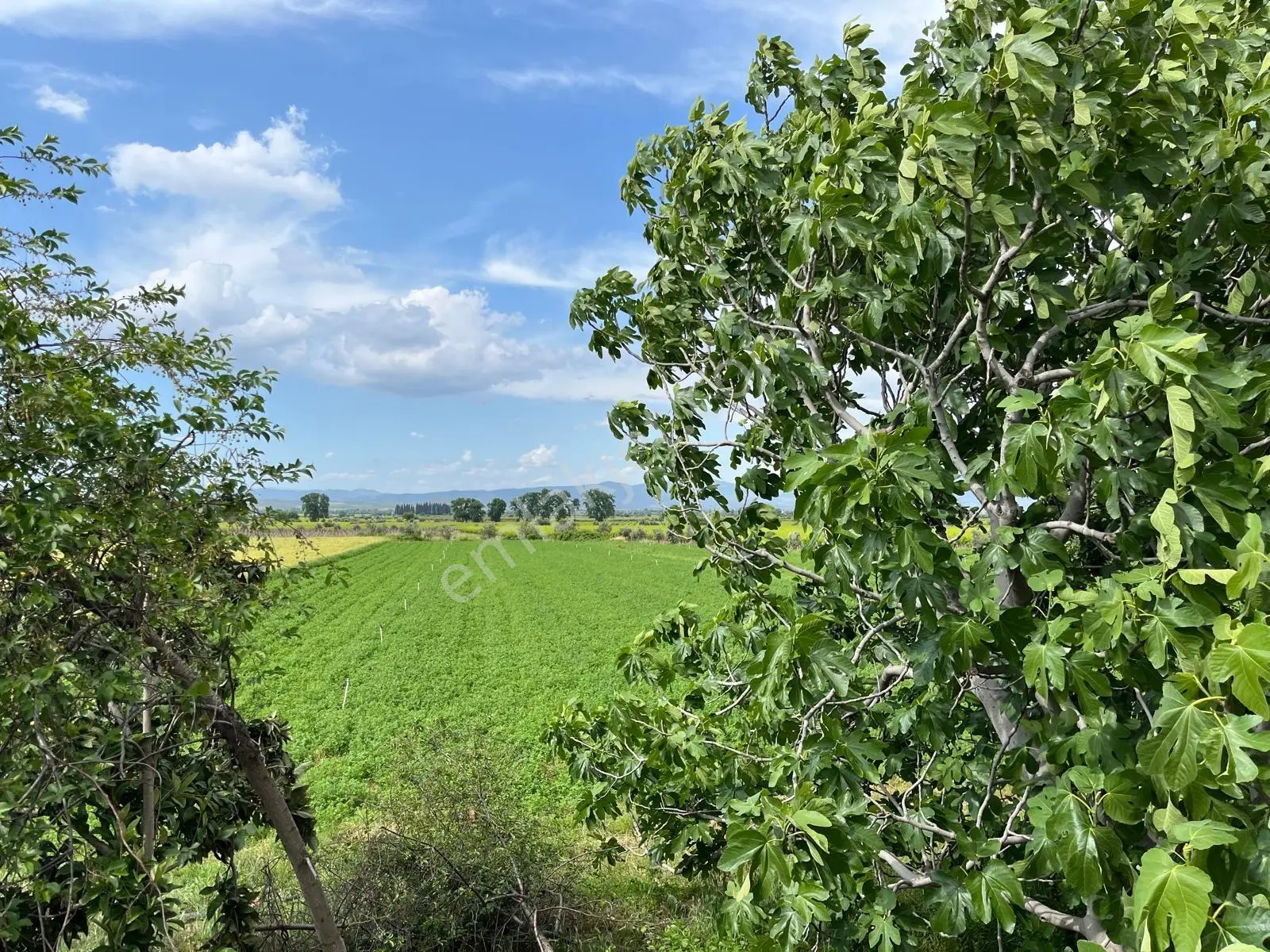 Salihli Sart Yolüstü Satılık Tarla 4518 M²
