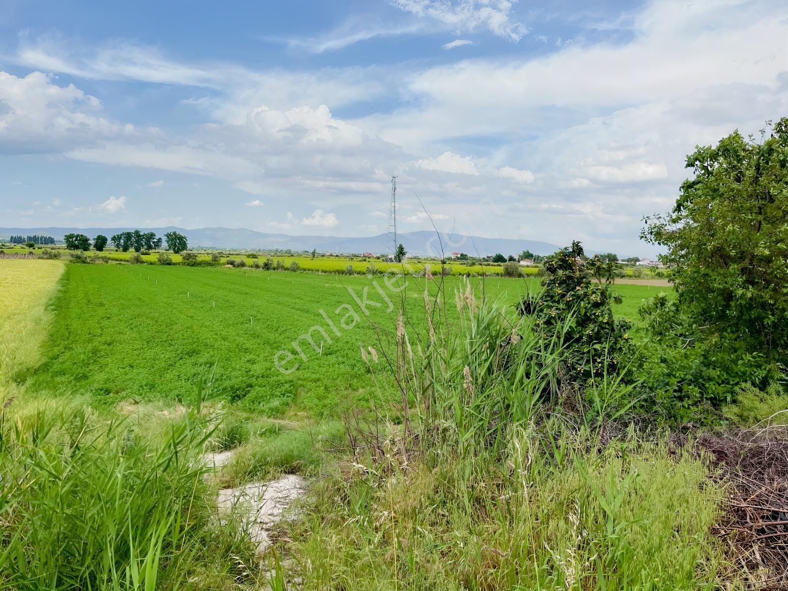 Salihli Sart Yolüstü Satılık Tarla 4518 M² — fotoğraf 3