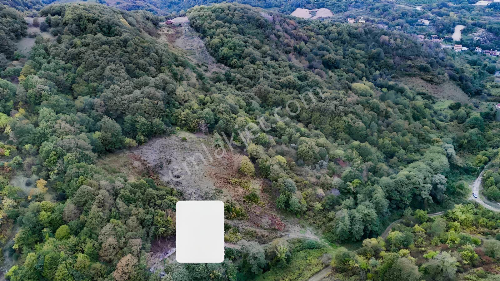 Kadastrol Yolu Açık Olan Arsa
