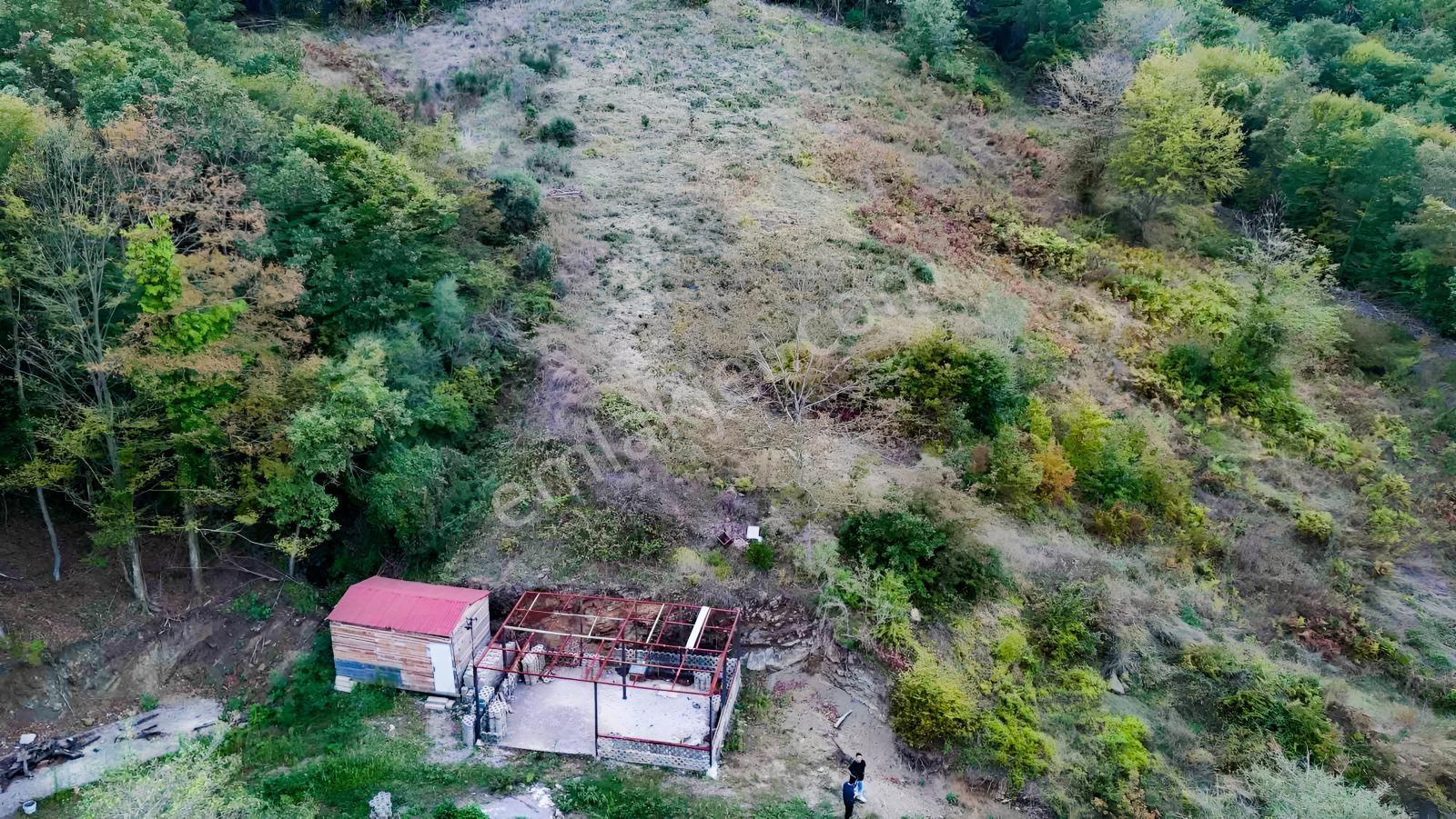 Kadastrol Yolu Açık Olan Arsa — fotoğraf 3