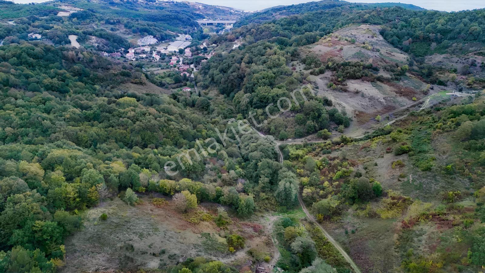 Kadastrol Yolu Açık Olan Arsa — fotoğraf 4