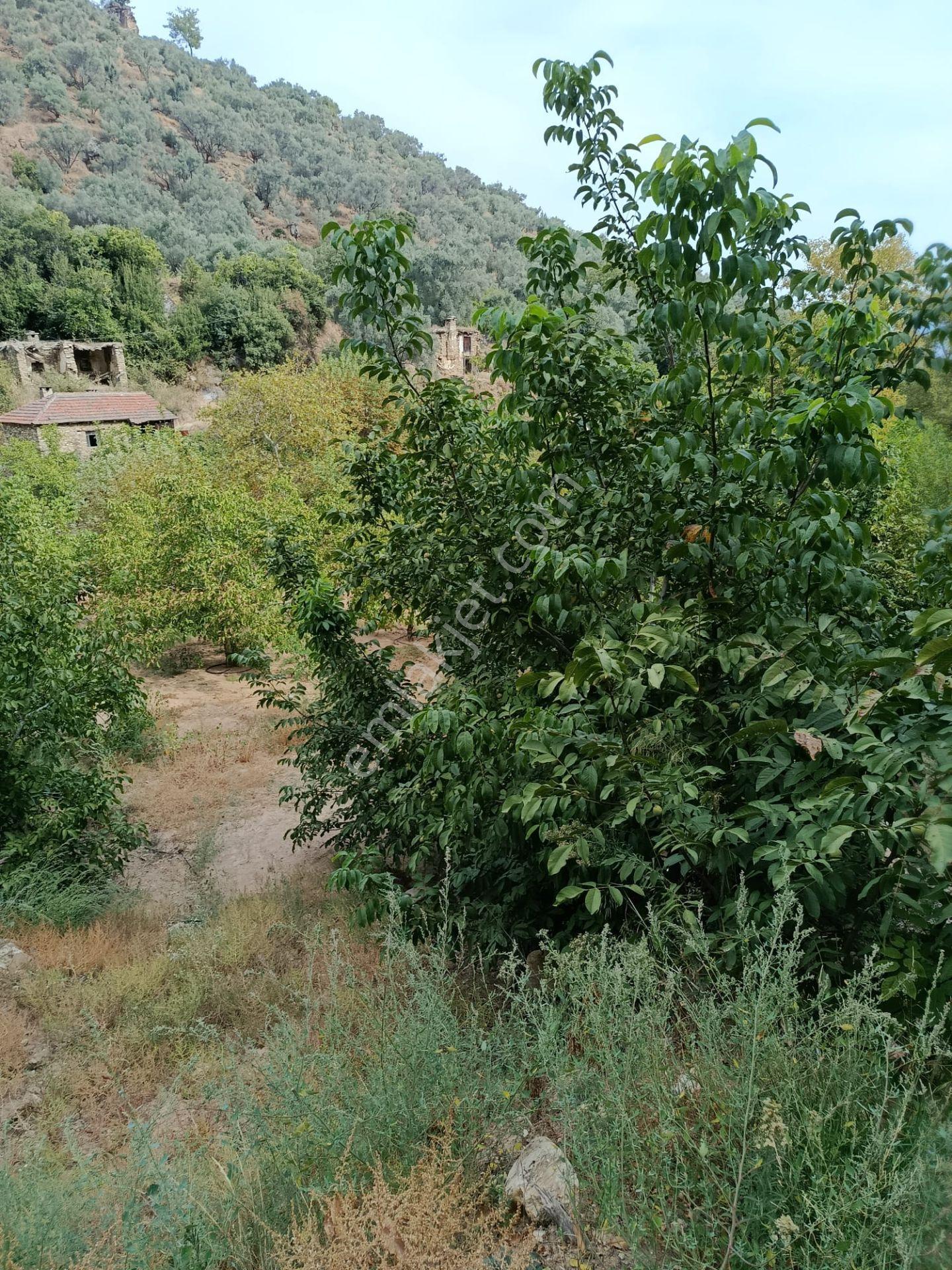 Acarlar Emlaktan Bozdoğan Hıdırbaba Mah. 2652 M2satılık Bahçe — fotoğraf 8