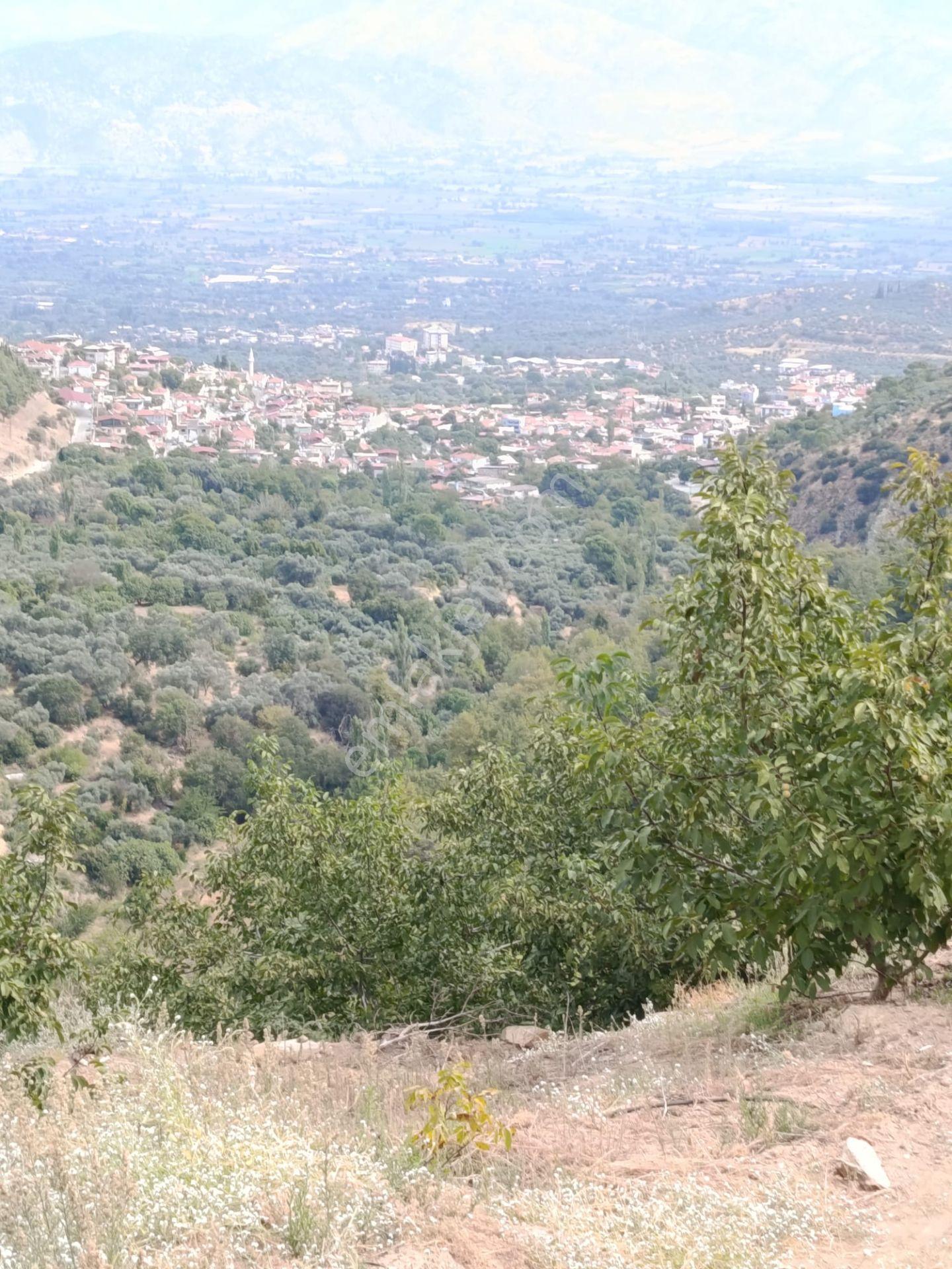 Acarlar Emlaktan Bozdoğan Hıdırbaba Mah. 2652 M2satılık Bahçe — fotoğraf 9