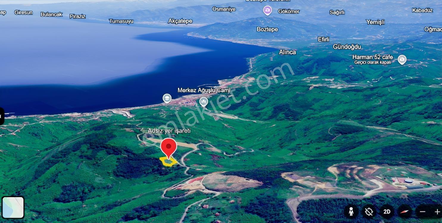 Ordu Perşembe Tarlacıkta 1.538 M² Satılık Bahçe. — fotoğraf 5