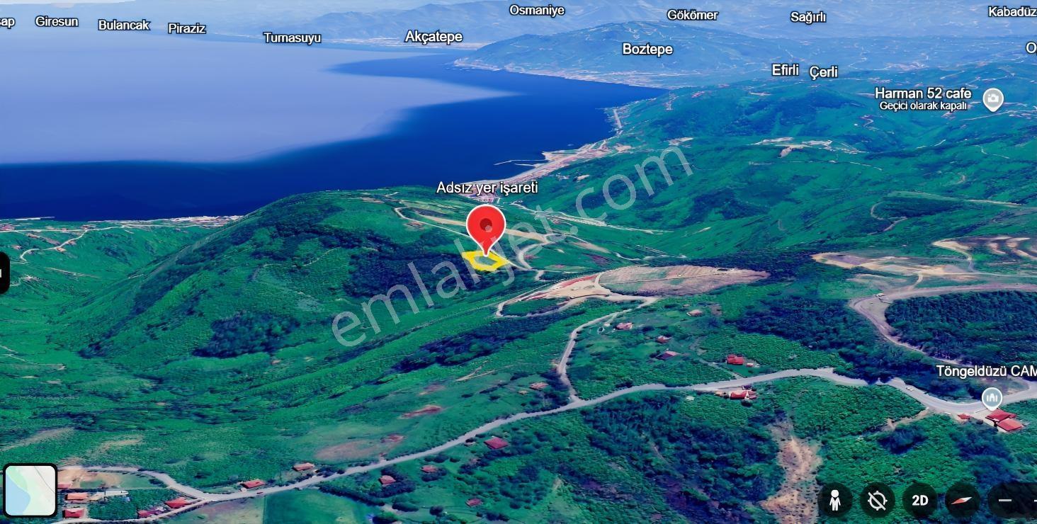 Ordu Perşembe Tarlacıkta 1.538 M² Satılık Bahçe. — fotoğraf 6