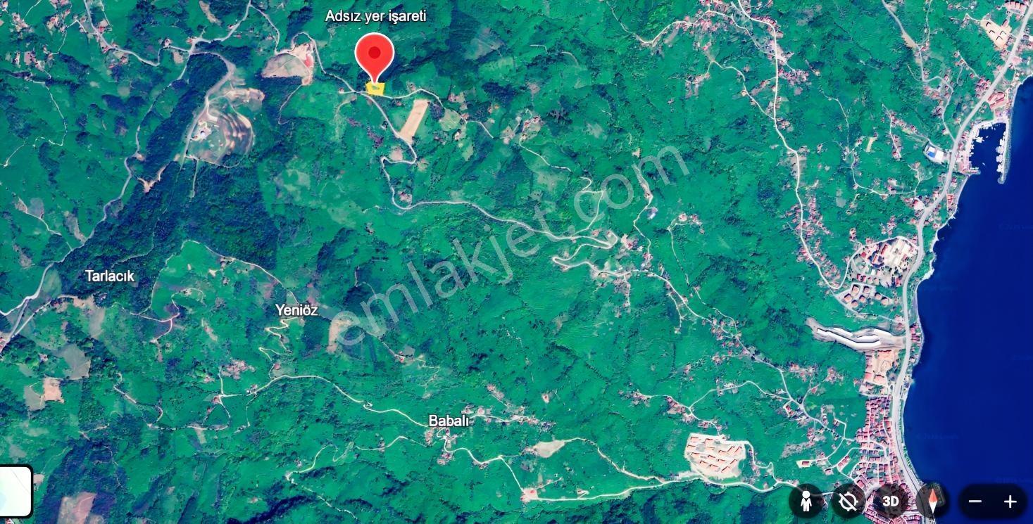 Ordu Perşembe Tarlacıkta 1.538 M² Satılık Bahçe. — fotoğraf 7