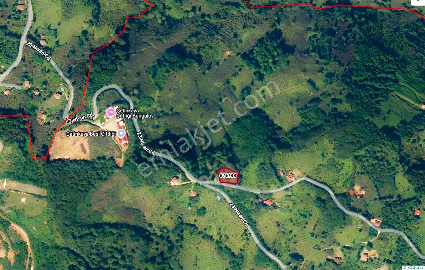 Ordu Perşembe Tarlacıkta 1.538 M² Satılık Bahçe. — fotoğraf 8