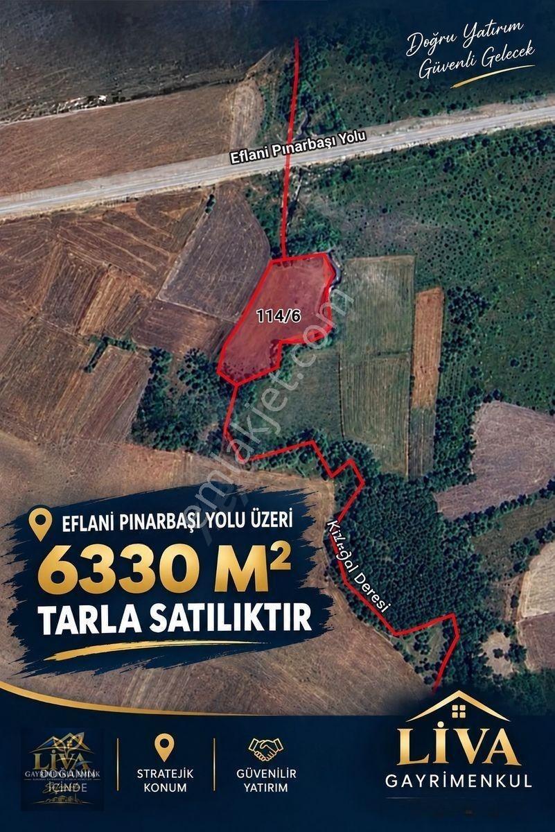 Karabük Eflani İlçesinde Ana Yol Kenarı Satılık 6330 M2 Tarla