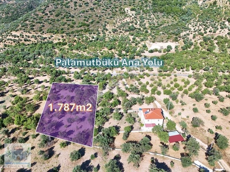 Marinden Palamutbükü'nde 1.787m2 Yerleşim Bitişiği Arazi — fotoğraf 3