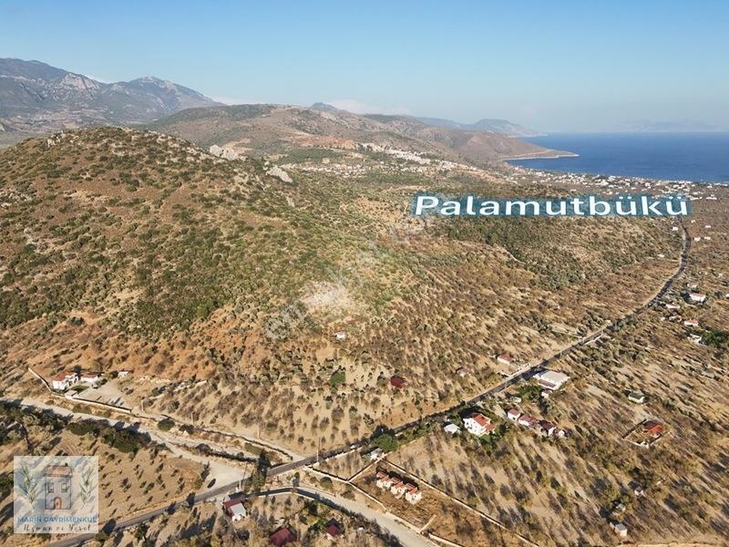 Marinden Palamutbükü'nde 1.787m2 Yerleşim Bitişiği Arazi — fotoğraf 4