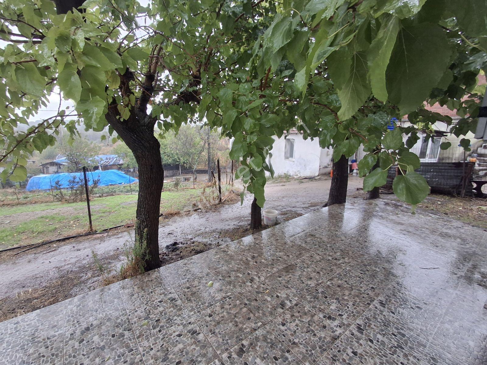 Kazdağları Gedik Köyünde Tadilatı Yapılmış Müstakil 2+1 — fotoğraf 10