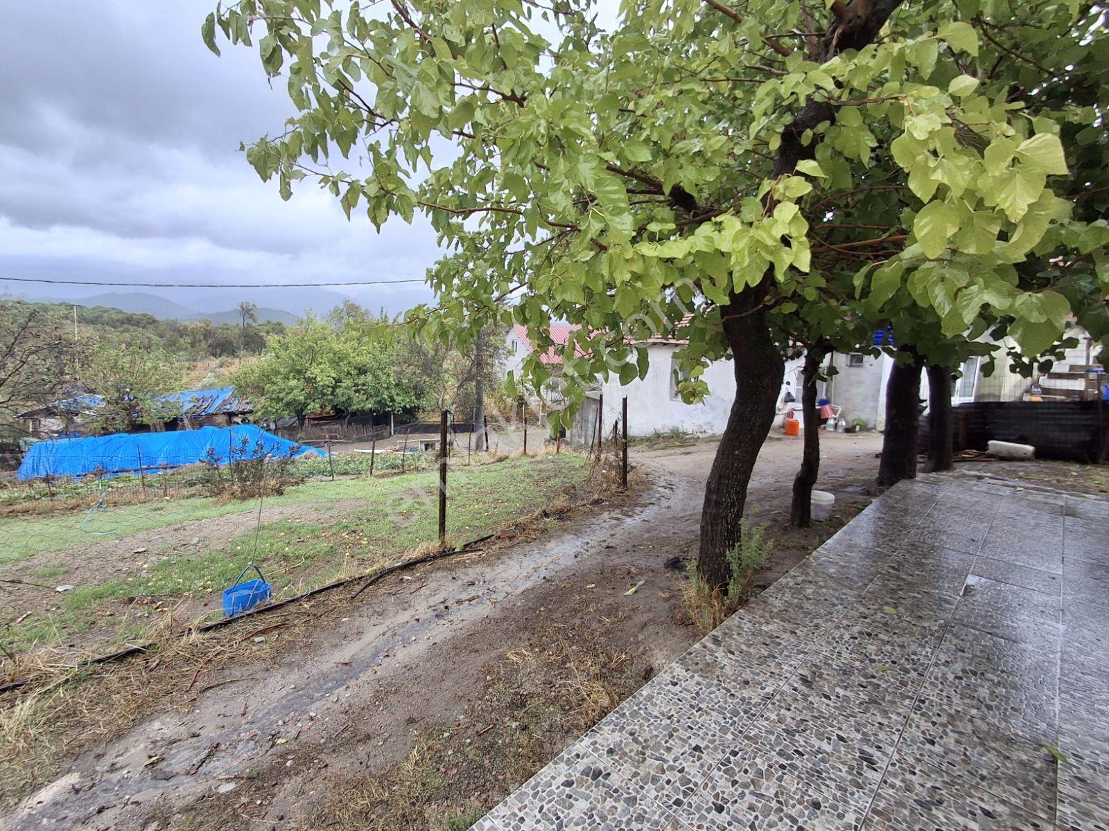 Kazdağları Gedik Köyünde Tadilatı Yapılmış Müstakil 2+1 — fotoğraf 24