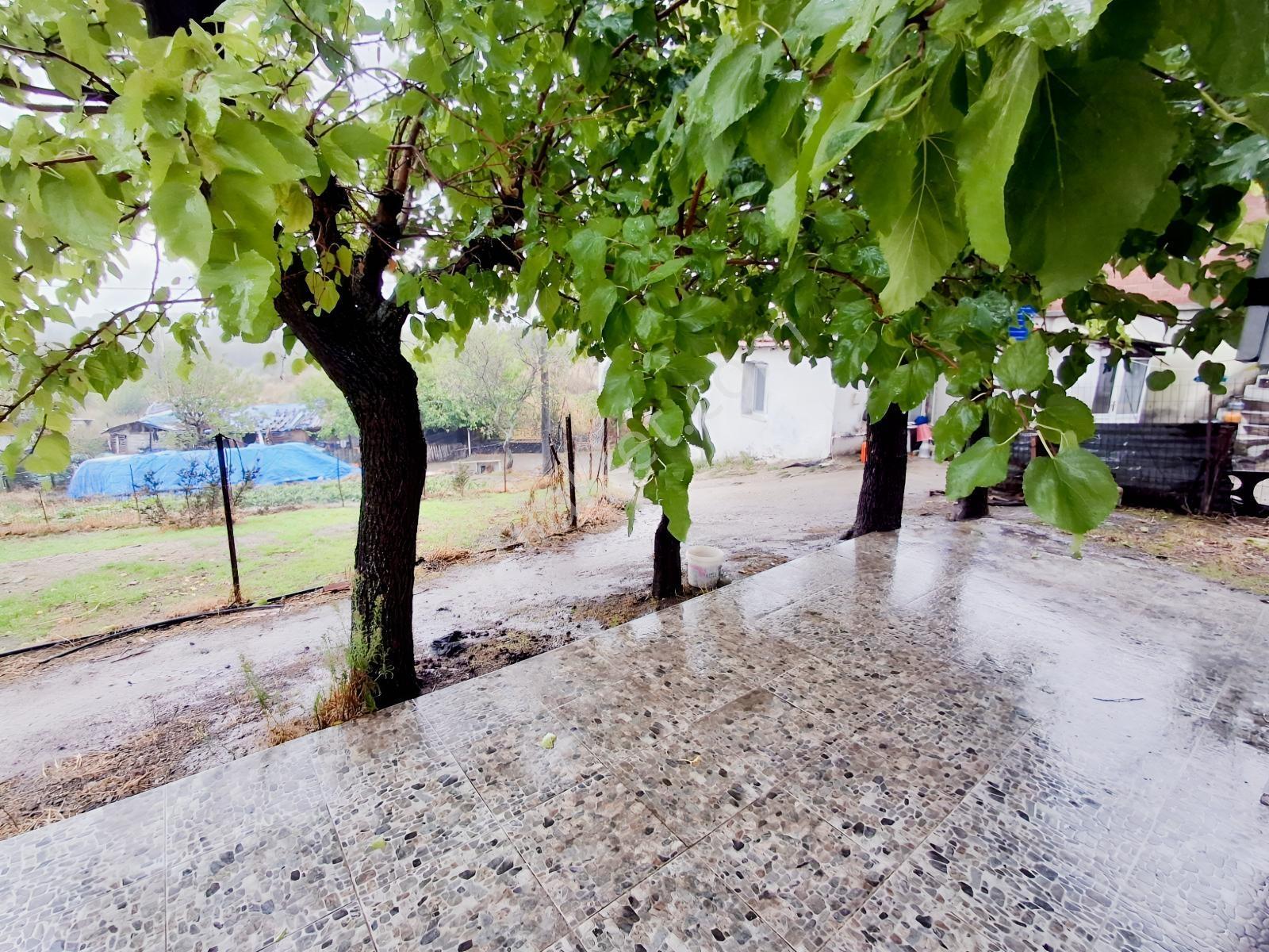 Kazdağları Gedik Köyünde Tadilatı Yapılmış Müstakil 2+1 — fotoğraf 31