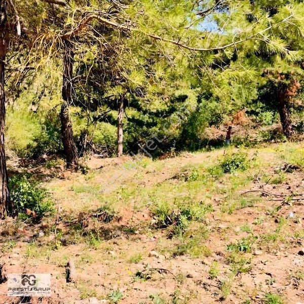 Prestij'den İnegöl Boğazda Satılık 146 M² Hisseli Tarla — fotoğraf 6