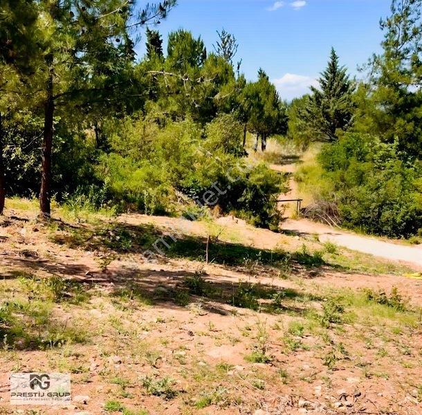Prestij'den İnegöl Boğazda Satılık 146 M² Hisseli Tarla — fotoğraf 10