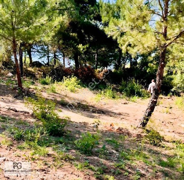 Prestij'den İnegöl Boğazda Satılık 146 M² Hisseli Tarla — fotoğraf 12