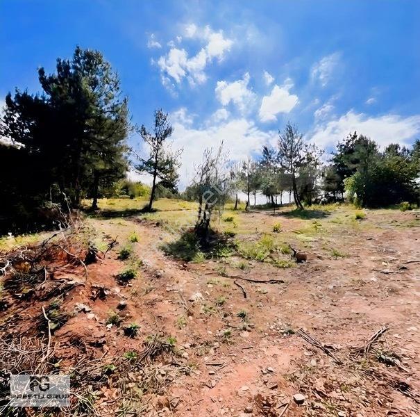 Prestij'den İnegöl Boğazda Satılık 146 M² Hisseli Tarla — fotoğraf 15