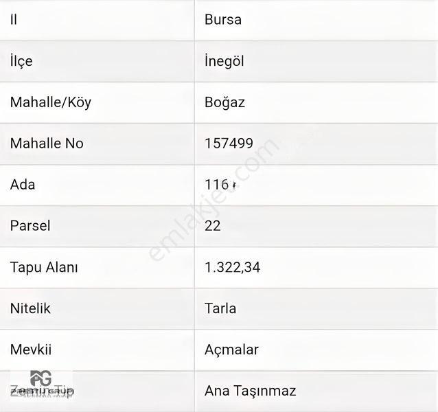 Prestij'den İnegöl Boğazda Satılık 146 M² Hisseli Tarla — fotoğraf 17