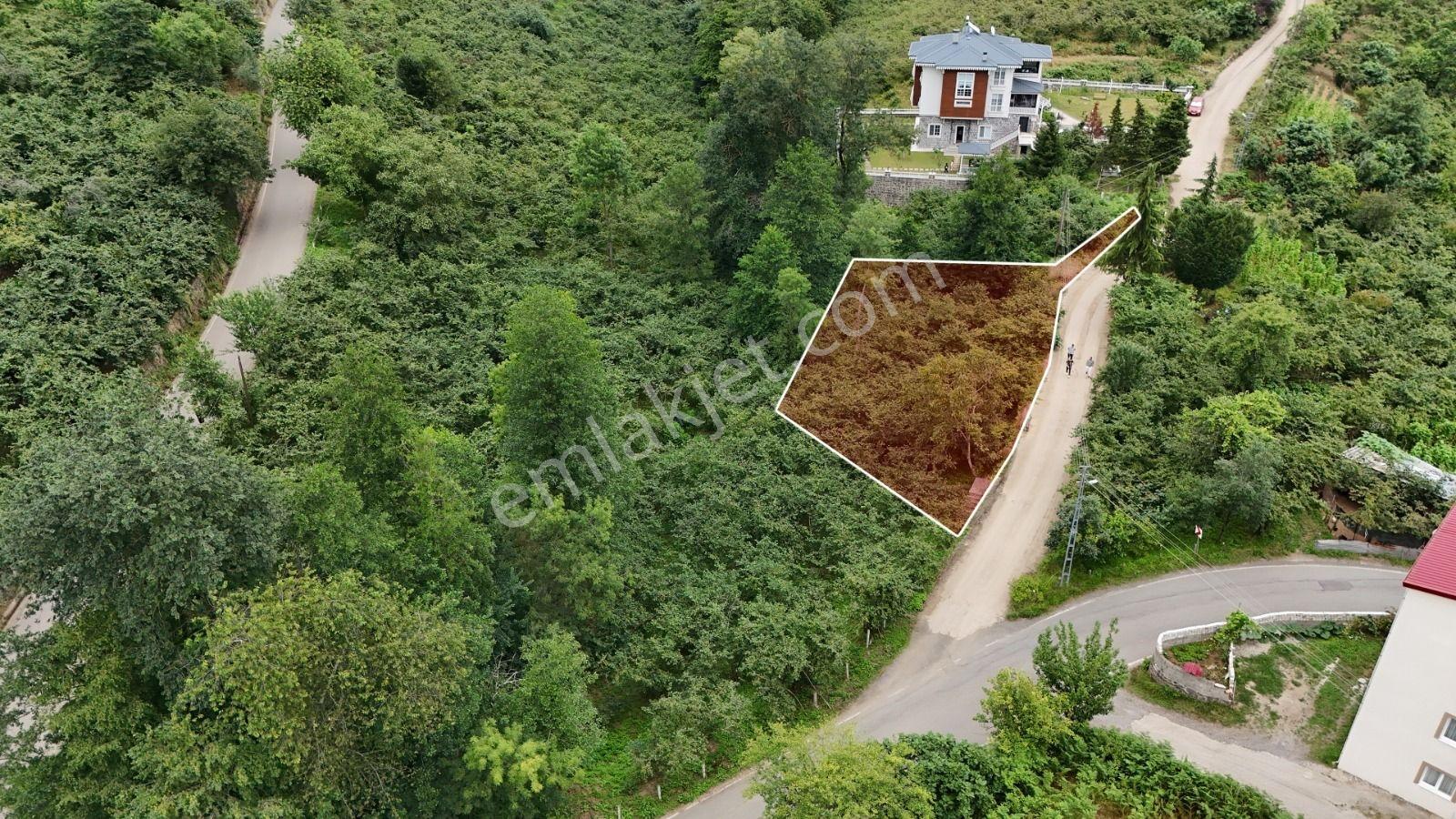 Royal'Den Trabzon Kavala'Da Satılık 814M2 Arsa