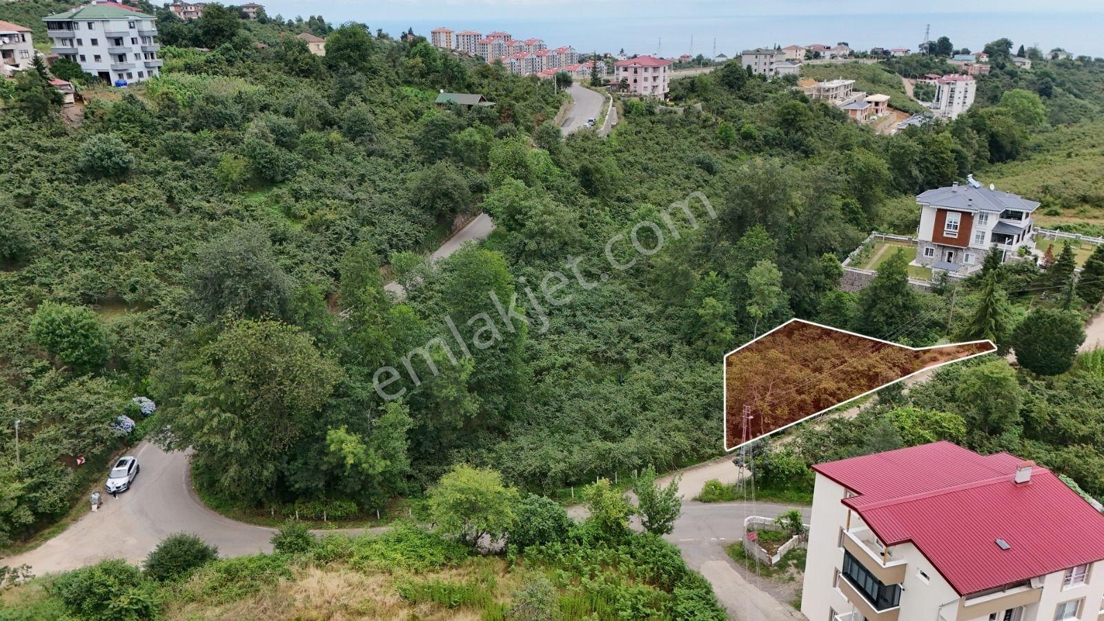 Royal'den Trabzon Kavala'da Satılık 814m2 Arsa — fotoğraf 2