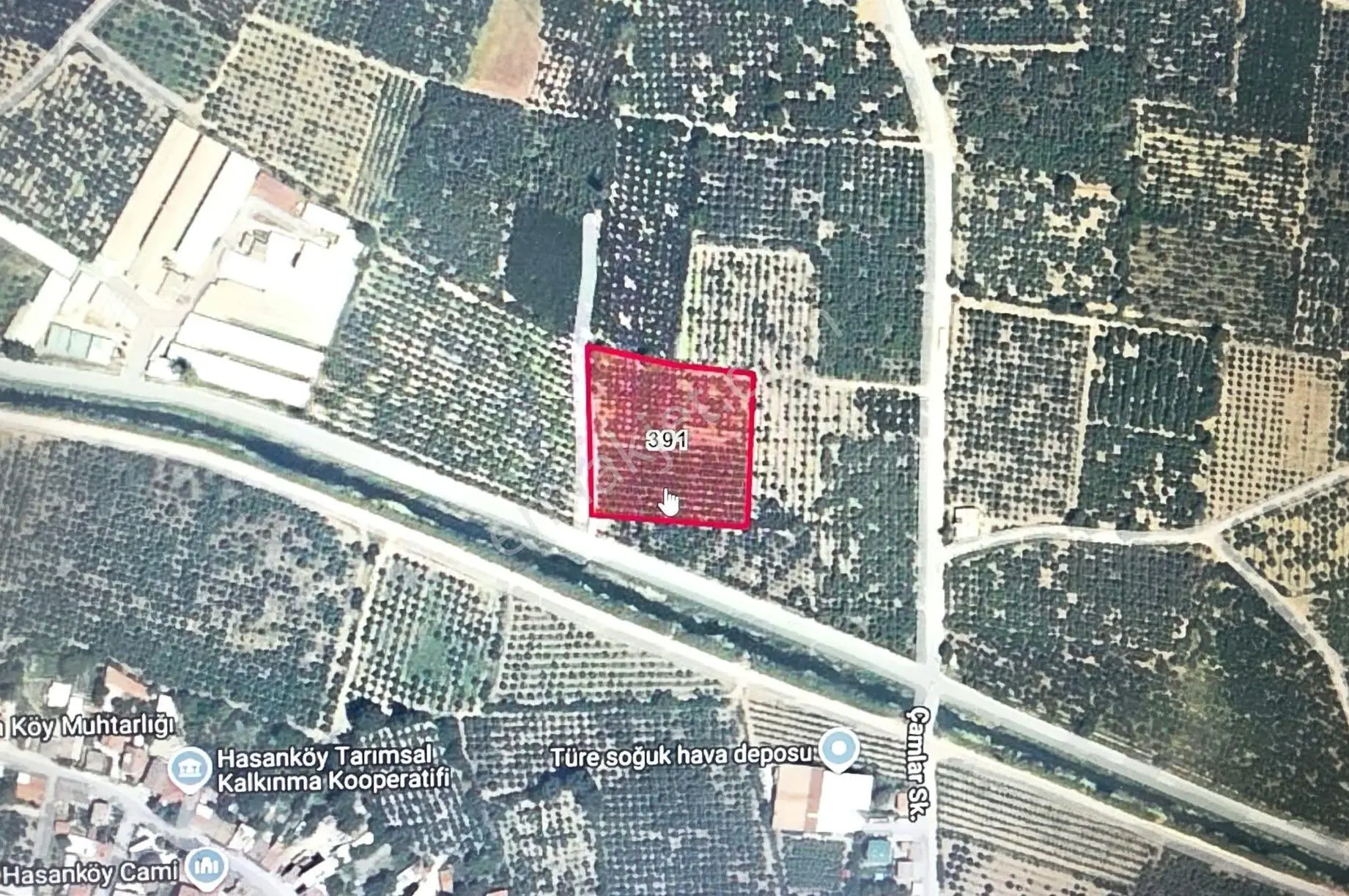 Bke Bursa Kılıç Tan Hasanköy De Satılık 3.550M2 Şeftali Bahçesi