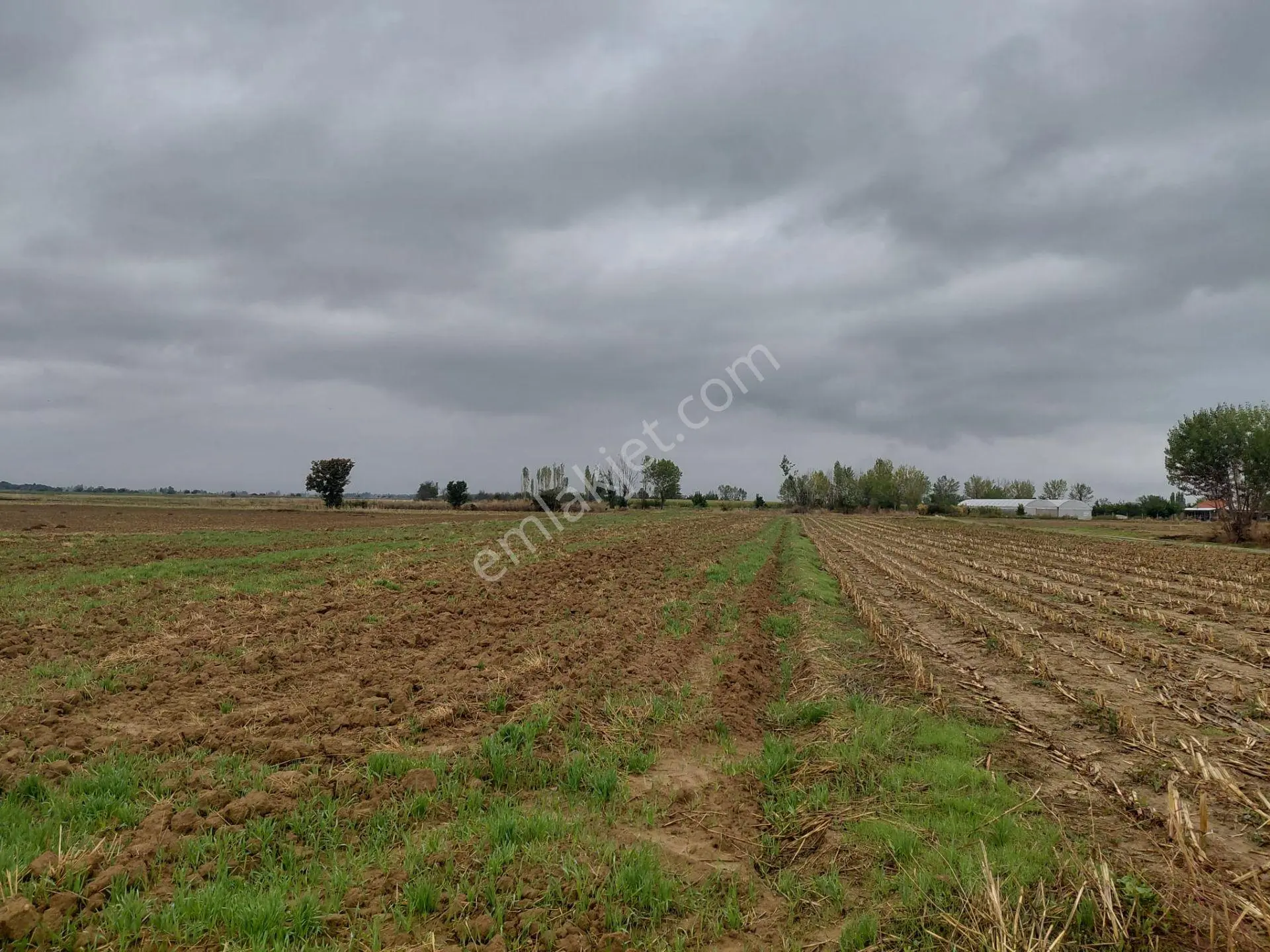 Bizizm Emlaktan Akşehir Yazla Mahallesi'nde Satılık 3197 M² Tarla — fotoğraf 4