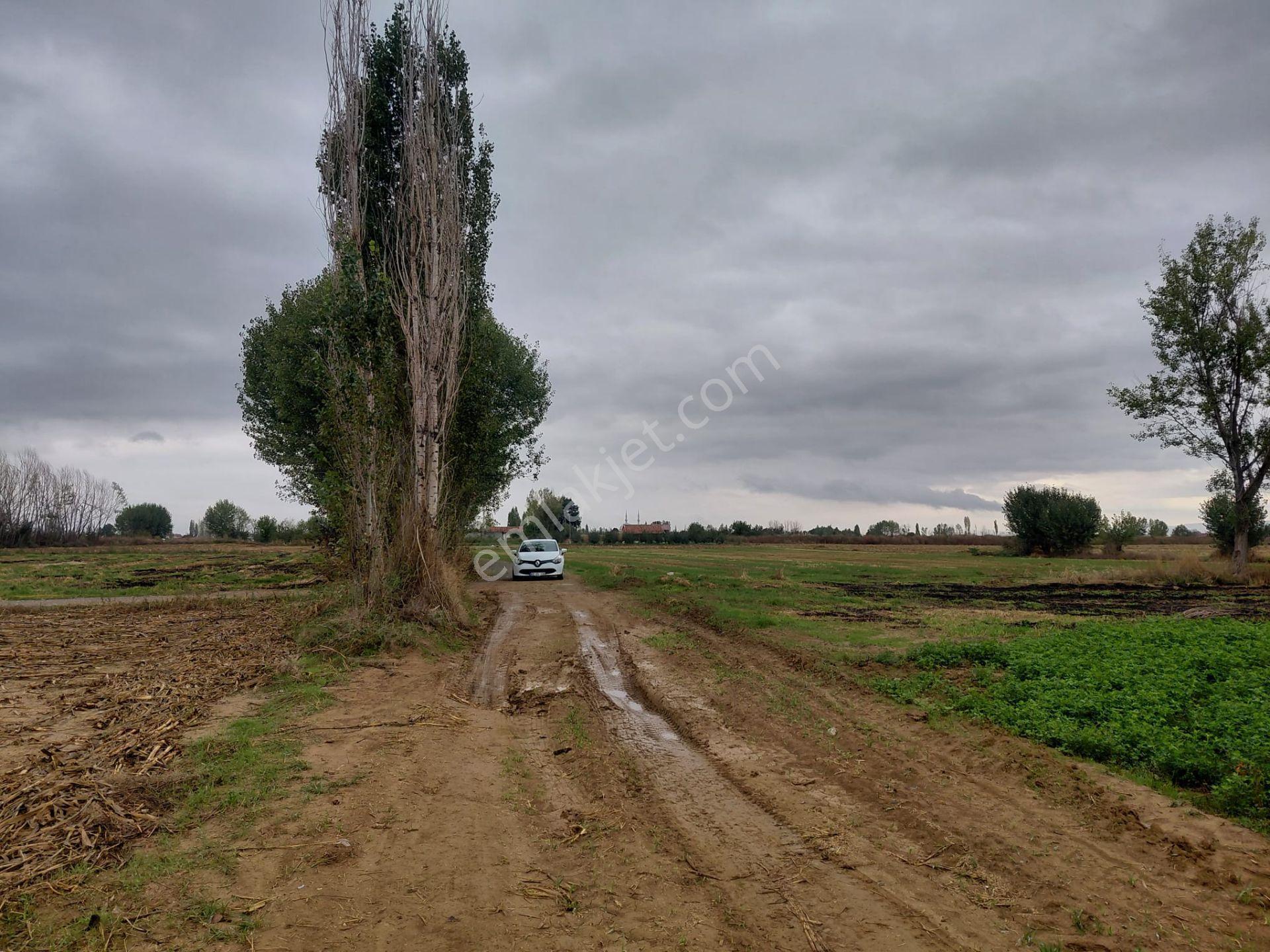 Bizizm Emlaktan Akşehir Yazla Mahallesi'nde Satılık 3197 M² Tarla — fotoğraf 6