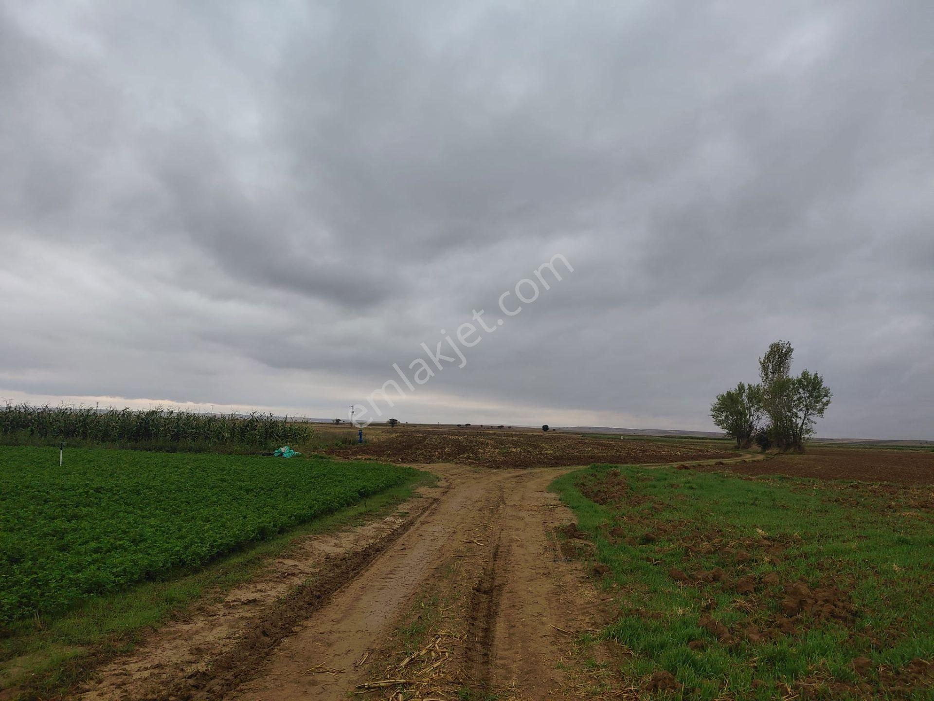 Bizizm Emlaktan Akşehir Yazla Mahallesi'nde Satılık 3197 M² Tarla — fotoğraf 7