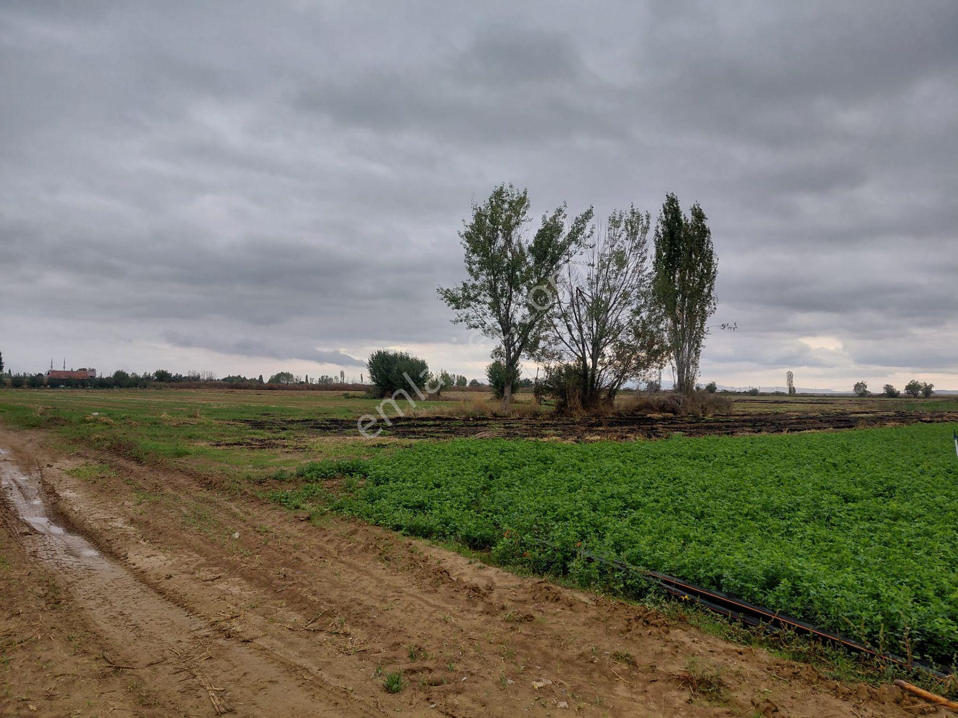 Bizizm Emlaktan Akşehir Yazla Mahallesi'nde Satılık 3197 M² Tarla — fotoğraf 8