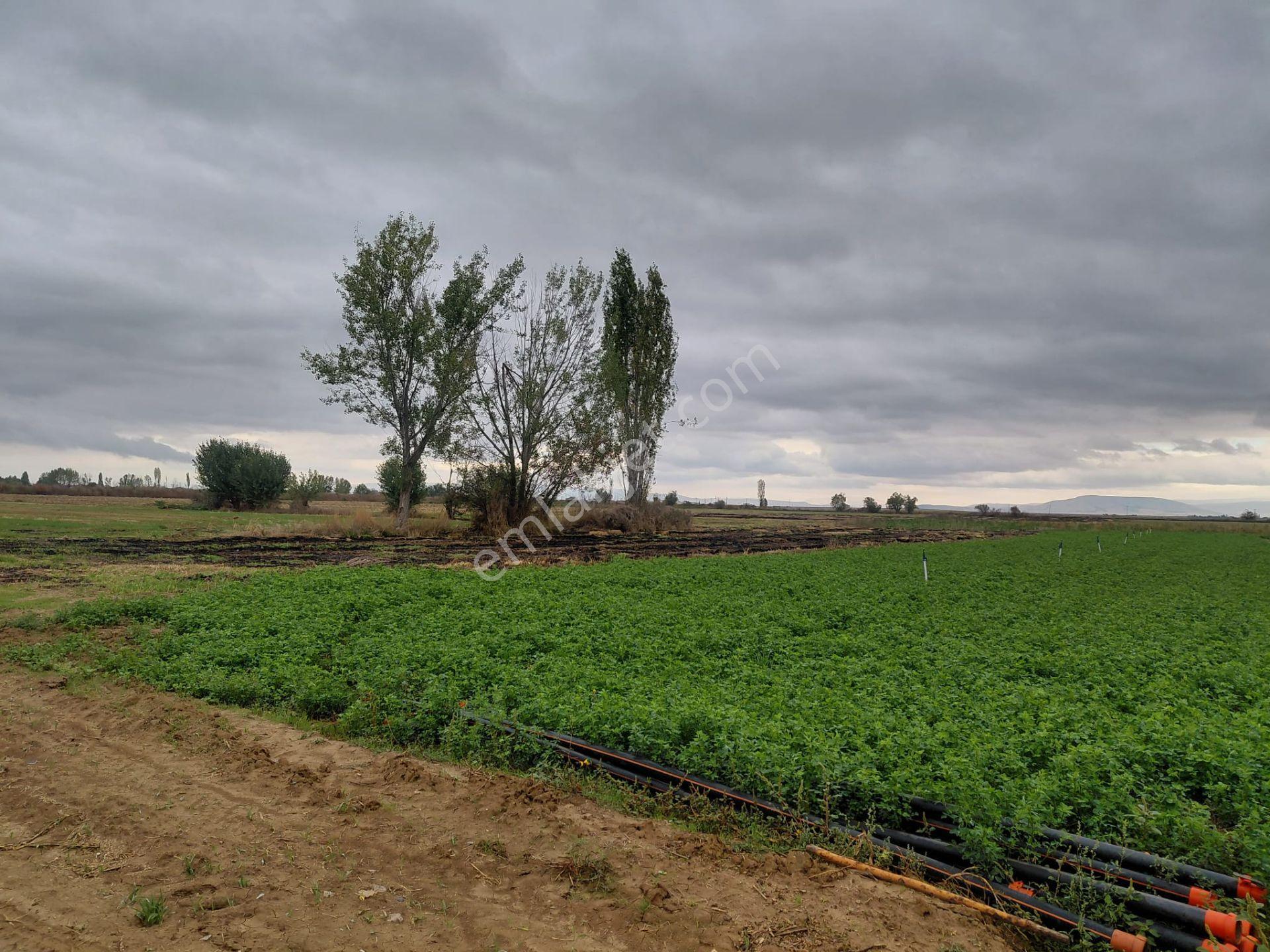 Bizizm Emlaktan Akşehir Yazla Mahallesi'nde Satılık 3197 M² Tarla — fotoğraf 10