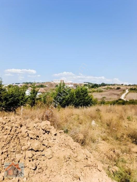 Yalova Safran Da Satılık Arsa — fotoğraf 3